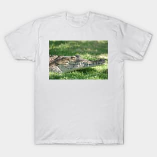 American crocodile (Crocodylus acutus) in Florida, USA T-Shirt